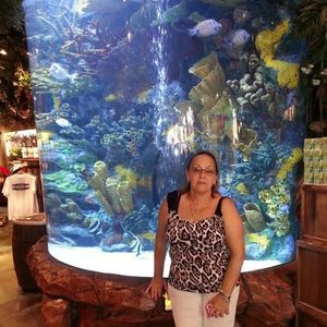 Meet your Posher, Dora